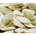 Supply New Crop and Big Size Pumpkin Seed Kernel